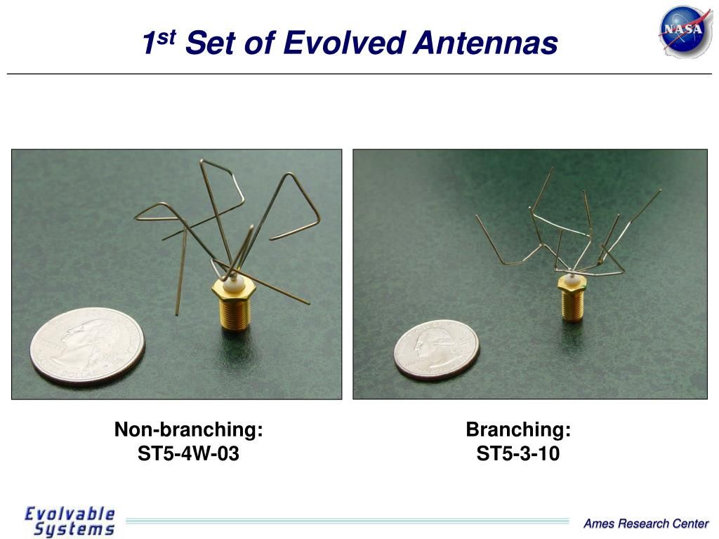 A slide with two photos of small evolved antennas, each placed next to a quarter for a size comparison. The antennas each have a chaotic, tangled burst of wires extending from a small cylindrical base. The first antenna looks more haphazard, like an 1940s abstract art sculpture made in response to a Jazz trumpet solo. The second antenna looks like a drunk spider on its back attempting to frantically claw its way out of its predicament. The first antenna is labeled, 'Non branching: ST5-4W-03. The second antenna si labeled, 'Branching: ST5-3-10.' The slide is labeled, 'NASA: 1st Set of Evolved Antennas. Evolvable Systems, Ames Research Center.'
